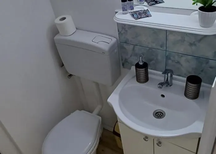 Charm Junior * エフォリエ・ノルド