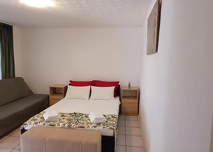 Charm Junior 홈스테이