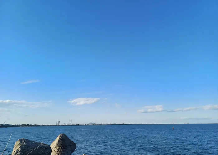 홈스테이 Charm Junior *